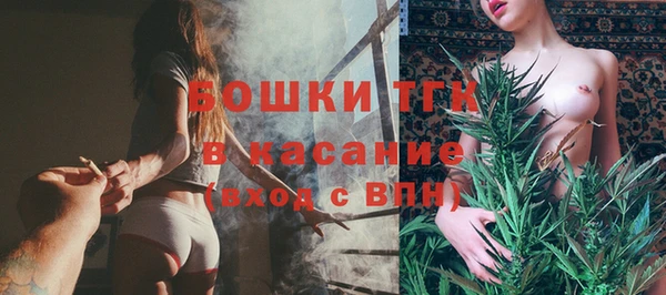 мяу мяу мука Горно-Алтайск