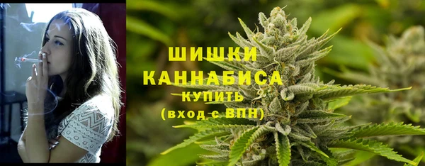 гидропоника Горняк