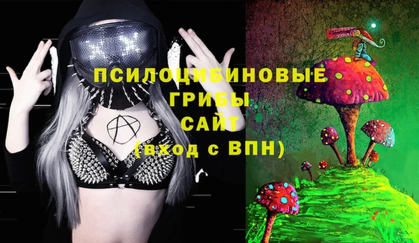 гидропоника Горняк