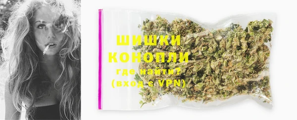 гидропоника Горняк